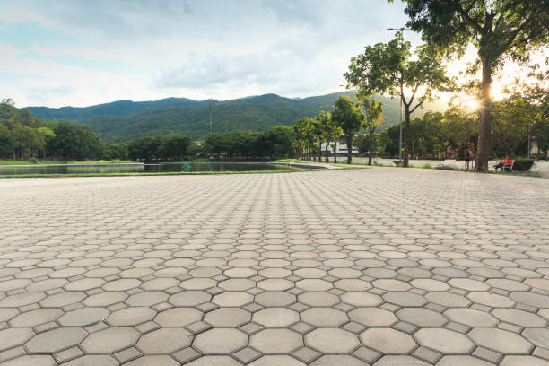 Best Residential Driveway Paver Services  in Lake Murray Of Richland, SC